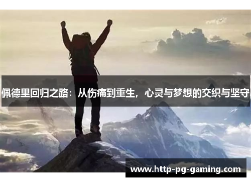 佩德里回归之路：从伤痛到重生，心灵与梦想的交织与坚守
