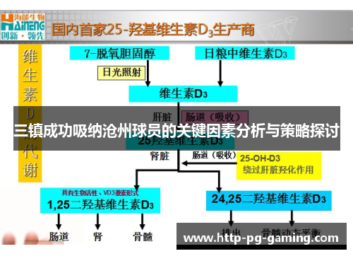 三镇成功吸纳沧州球员的关键因素分析与策略探讨