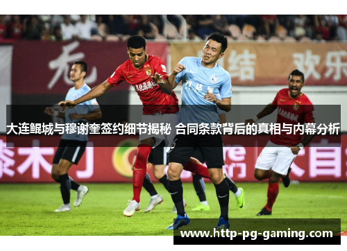 大连鲲城与穆谢奎签约细节揭秘 合同条款背后的真相与内幕分析