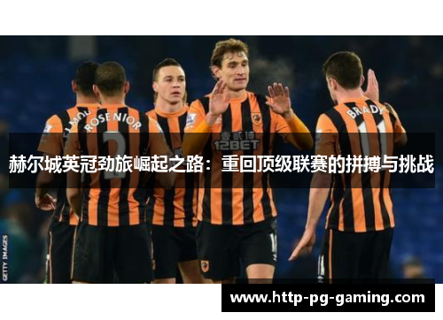 赫尔城英冠劲旅崛起之路：重回顶级联赛的拼搏与挑战
